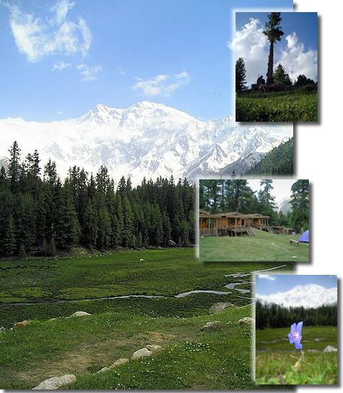 Fairy Meadows, North Face of Nanga Parbat